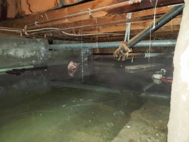 Best Basement Water Damage Restoration in Bethlehem, PA